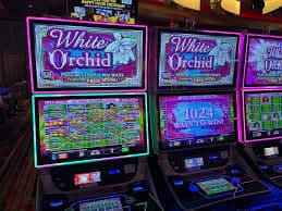 Antarmuka aplikasi mobile rajabandot 88 yang menampilkan meja live dealer dan menu olahraga